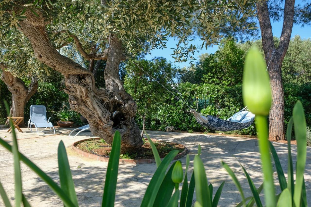Villa Pugliamandia Monopoli Exterior foto